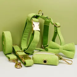 Collar y correa de pana verde para perros con placa grabada
