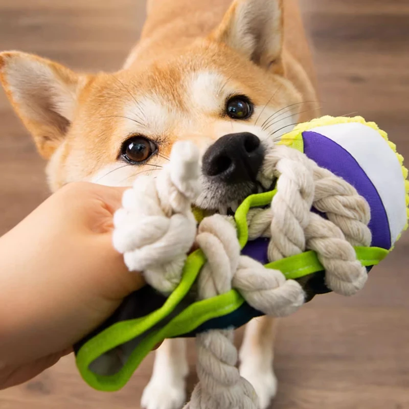 Juguete para perros con sonido y cuerda de algodón, forma zapatilla
