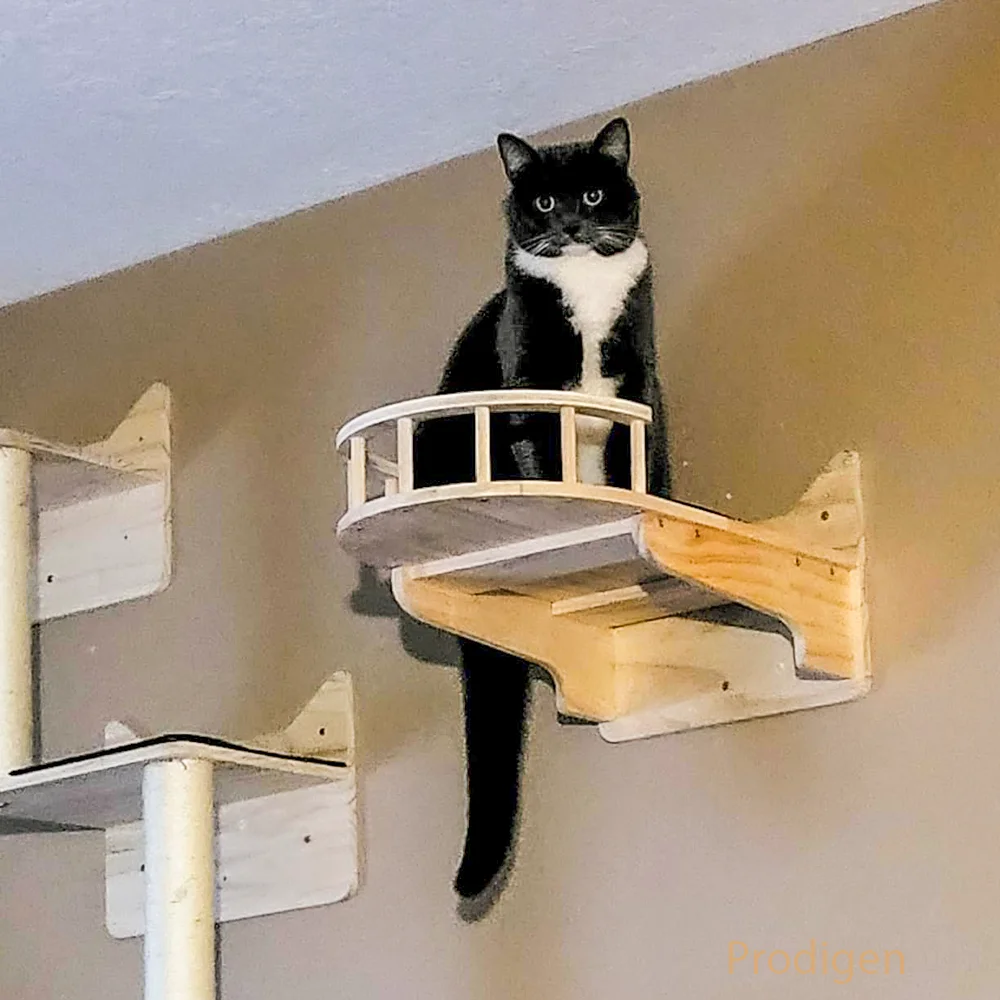 Accesorios de pared para gatos, marco de escalada para gatos, tablero rascador para gatos montado en la pared, muebles, árbol para gatos, hamaca, escalera para gatos - imagen 3