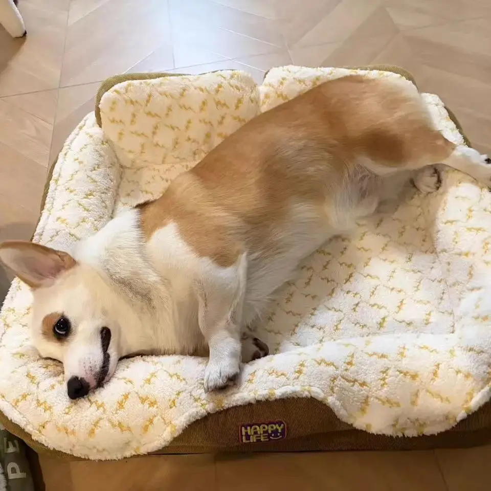 Cama cálida de invierno para perros, casa grande para perros, estera de perrera de felpa suave, cubierta extraíble lavable, protege el cuello, suministros para mascotas para gatos y perros - imagen 3