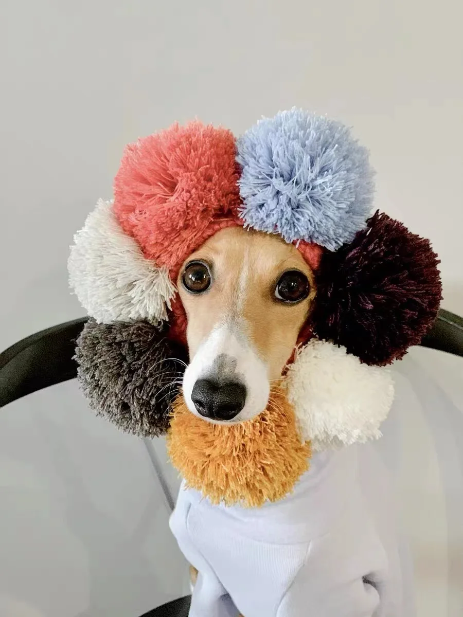 Sombrero de Galgo Italiano, gorro de punto con cuentas de Whipple, lindo perro, Invierno