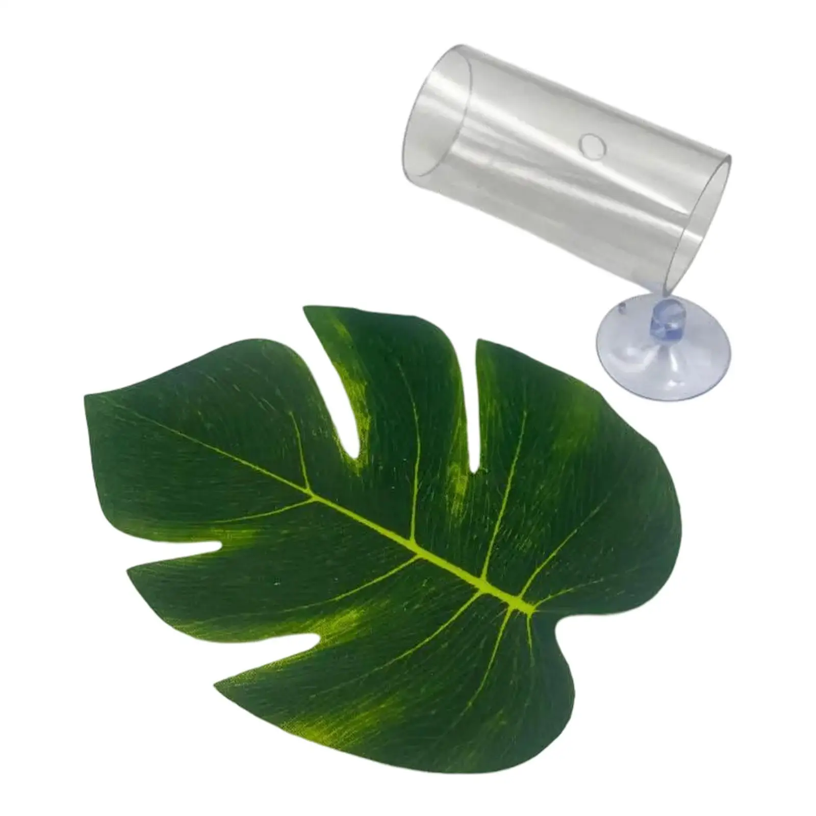 Betta Fish Tube Tunnel Shelter Habitat for Sleeping Playing Aquarium Hideout