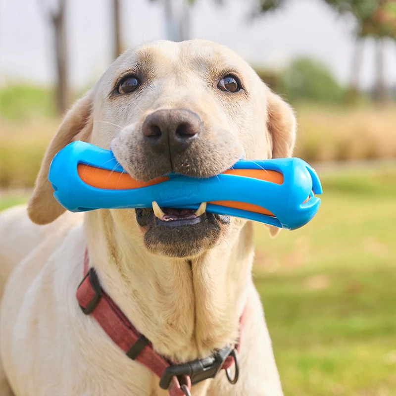 Juguete acuático para perros interactivo, flotante y mordible - imagen 3