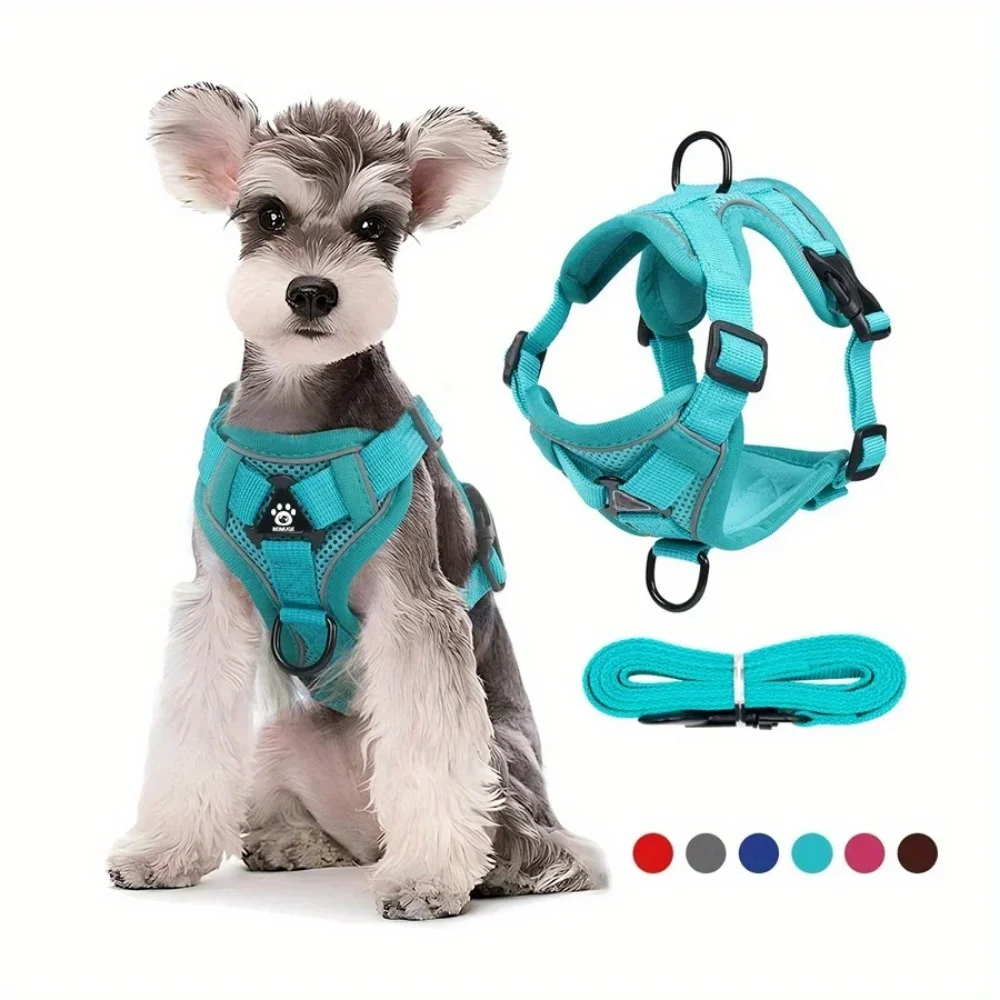 Arnés y correa para gatos – Set completo de paseo ajustable