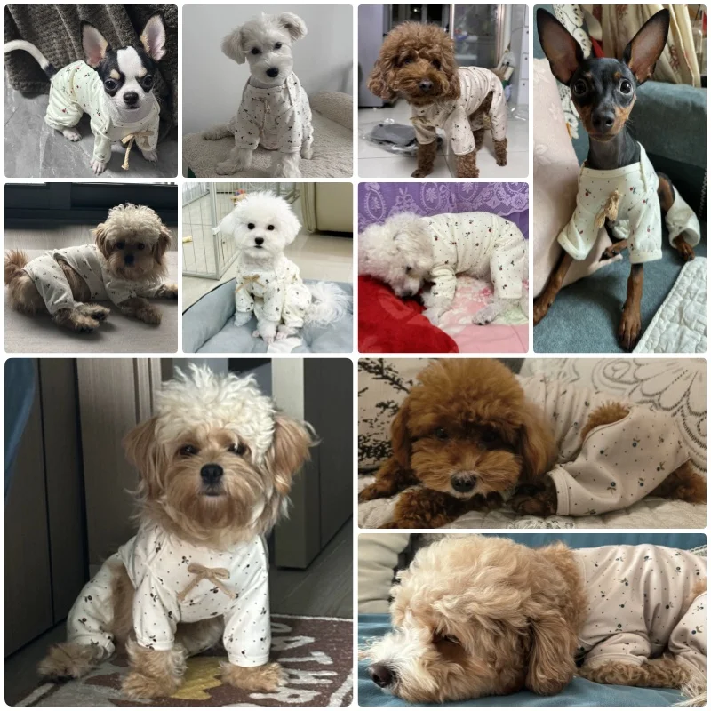 Monos con estampado Floral para perros, ropa fina de primavera para perros, peleles a la moda para cachorros, pijamas suaves y bonitos para gatos, monos para mascotas, disfraces para Chihuahua - imagen 2