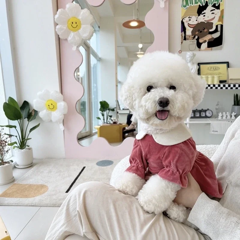 Moda Winte, ropa cálida para perros, vestido de princesa para cachorros, vestido de pana de peluche, ropa cálida maltesa de Pomerania para perros y mujeres