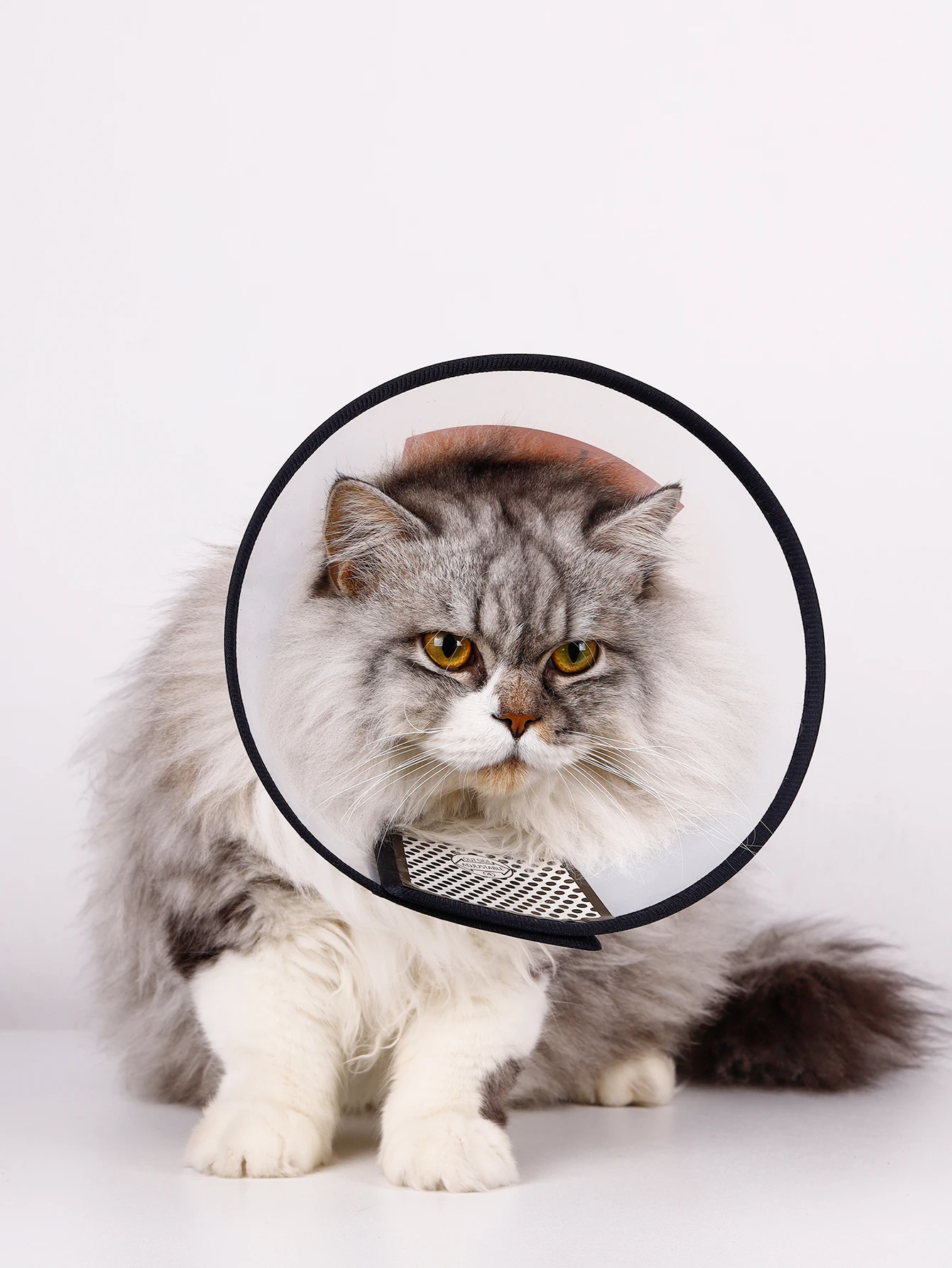 Collar para perro y gato, perro grande, perro mediano, anillo para morder, Collar antiarañazos, Collar de recuperación - imagen 3