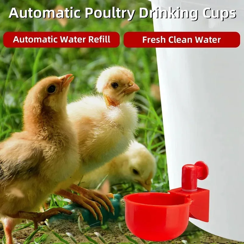 Taza para beber pollo, bebedero automático, alimentador de pollo, bebedero de plástico para aves de corral, bebedero de agua potable para pollitos, patos, gansos, codornices - imagen 2