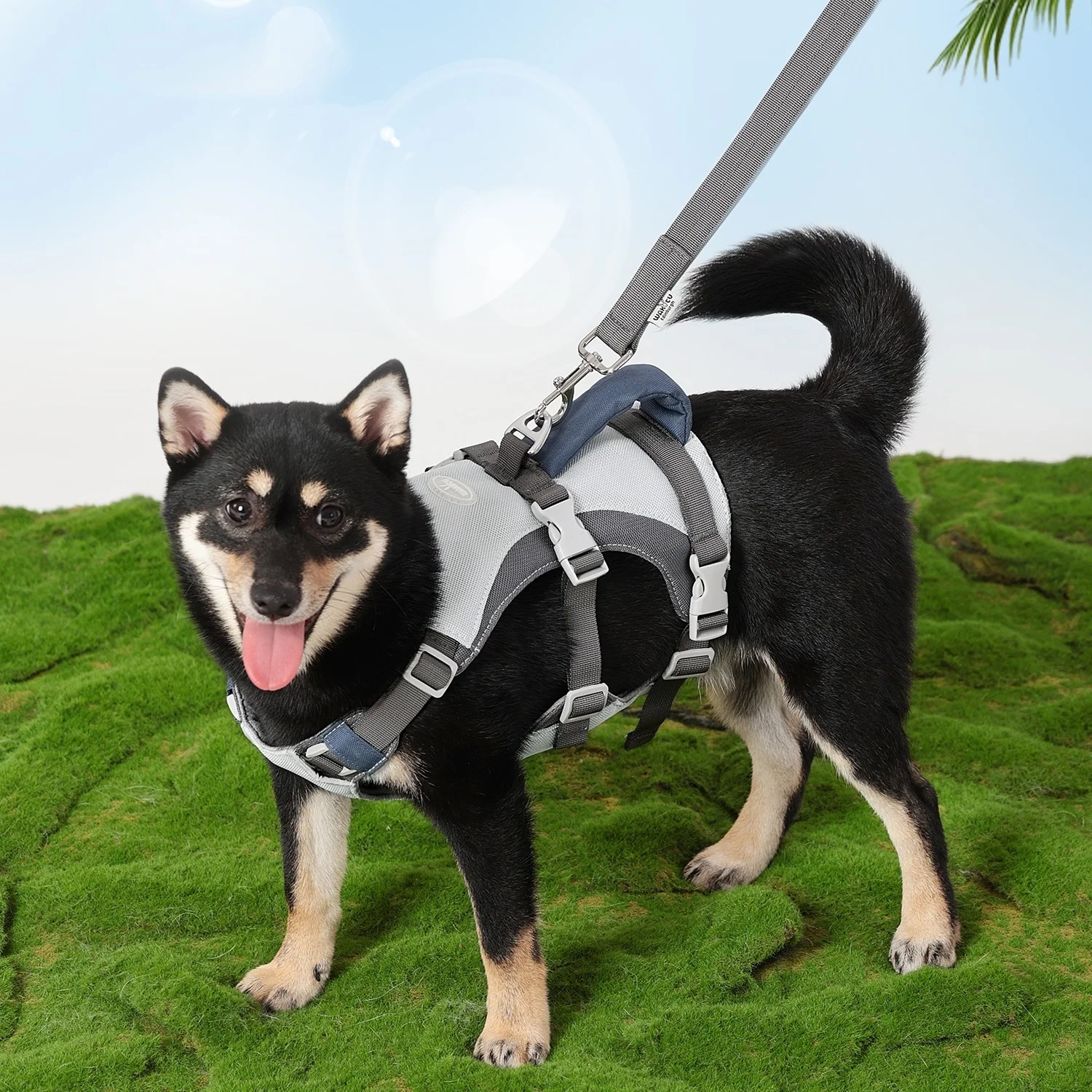 Arnés para perros con juego de correa, chaleco para perros fresco y transpirable con mango acolchado, arnés para caminar sin tirar para perros con correa azul