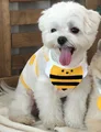 yellow bee