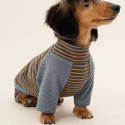 Ropa para perros Dachshund de 2 patas a rayas, suéter elástico cálido para ropa para perros Wiener, disfraces para perros de invierno y primavera para salchichas