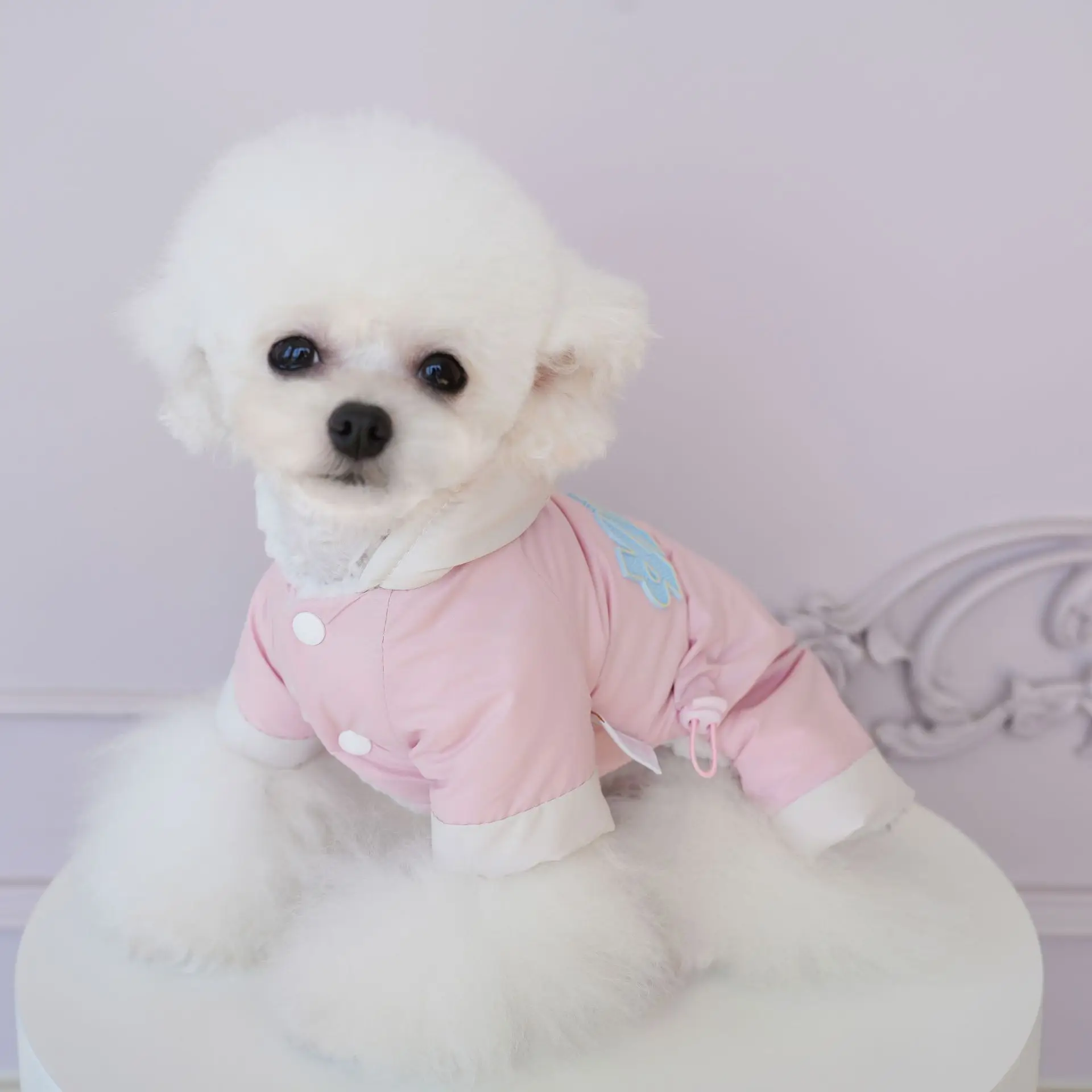 Pantalones impermeables de cuatro patas para mascotas, abrigo grueso para exteriores, perros pequeños, gatos, ropa para cachorros de peluche, otoño e invierno - imagen 5