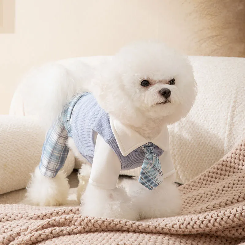 Vestido a cuadros para mascotas de otoño e invierno, conjunto para parejas universitarias, oso de peluche, traje de cuatro patas, mono para gatos, ropa para mascotas, ropa para cachorros de invierno - imagen 3