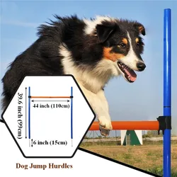 Kit de agility para perros - Barras y obstáculos para entrenar