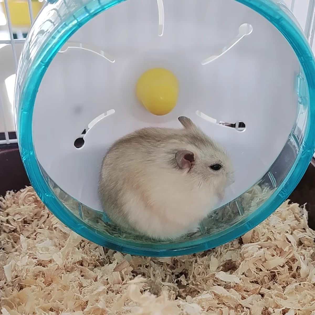 ใหม่หนูแฮมสเตอร์วิ่งล้อเงียบวิ่งล้อหนูแฮมสเตอร์กรงล้อ Golden Bear กีฬาหนูแฮมสเตอร์อุปกรณ์ของเล่นเกมที่น่าเบื่อ