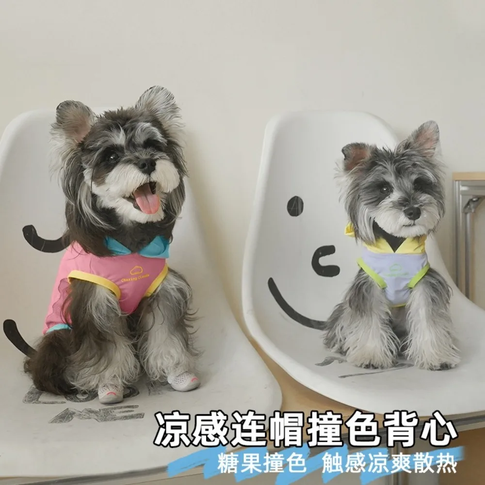 Chaleco fresco de primavera para mascotas, Top con capucha de Color contrastante, chaleco exterior de peluche para mascotas, ropa para cachorros pequeños