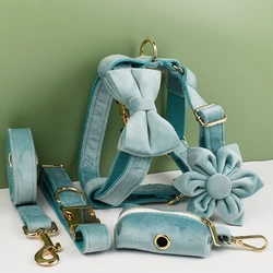 Collar y correa de terciopelo verde para perro con placa de nombre