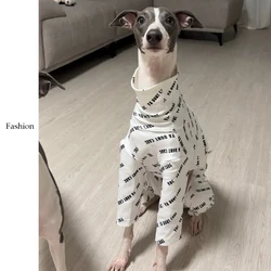 Jersey de cuello alto para Galgo Italiano y Whippet – Manga larga para otoño e invierno