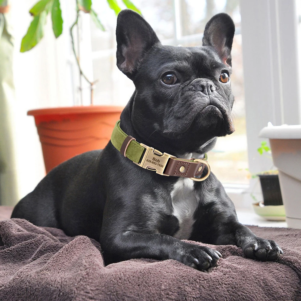 Collar de perro de cuero PU personalizado gratis, collares de perro grabados, hebilla ajustable para mascotas, Collar de identificación duradero para perros pequeños, medianos y grandes, Pug - imagen 5