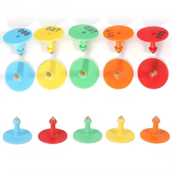 100 Uds cerdo oveja conejo ganado oreja etiqueta signos escritura láser cabeza de cobre pendientes ganado etiqueta tarjeta de identificación de animales de granja