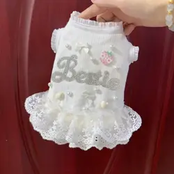 Vestido Formal de encaje para mascotas, falda estilo princesa de otoño e invierno con decoraciones de perlas, ropa para perros para maltés, Bichon Frise