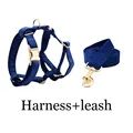 Harness leash44