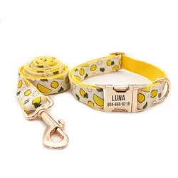 Set collar y correa para perro cachorro – motivos lemon