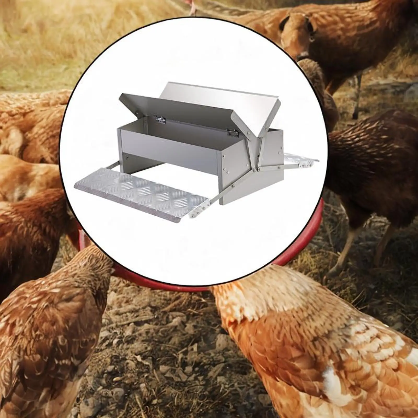 Automatic Treadle Chicken Feeder with Weatherproof Lid Anti Slip Stainless Steel Poultry Feeder for Pheasants Outdoor Outside