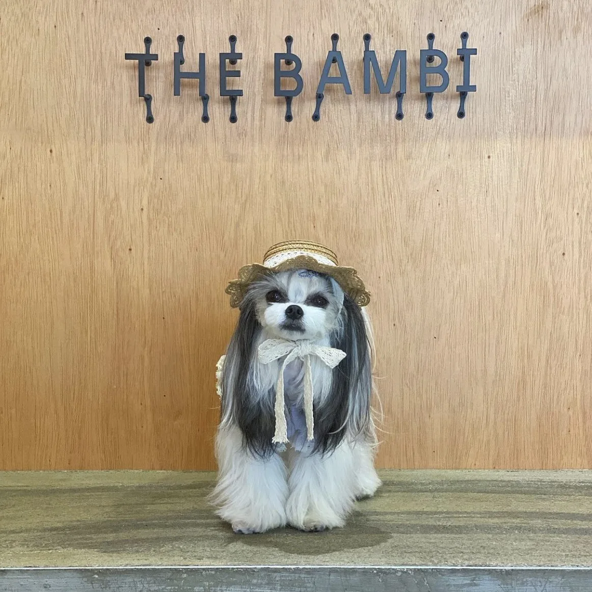 c56ac1c3abf4336359c6199e75ad62