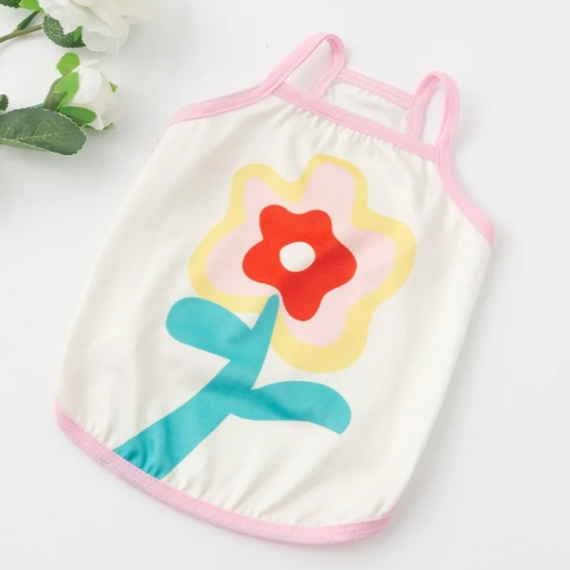 Multicolored flowers