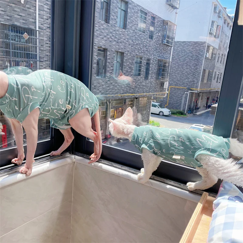 Chaleco de tela fresca de 4 patas para Sphyinx Cat Summer Beige Verde Camiseta para gatitos machos Perros Abrigo suave para Devon Rex Cat Prodcut - imagen 3