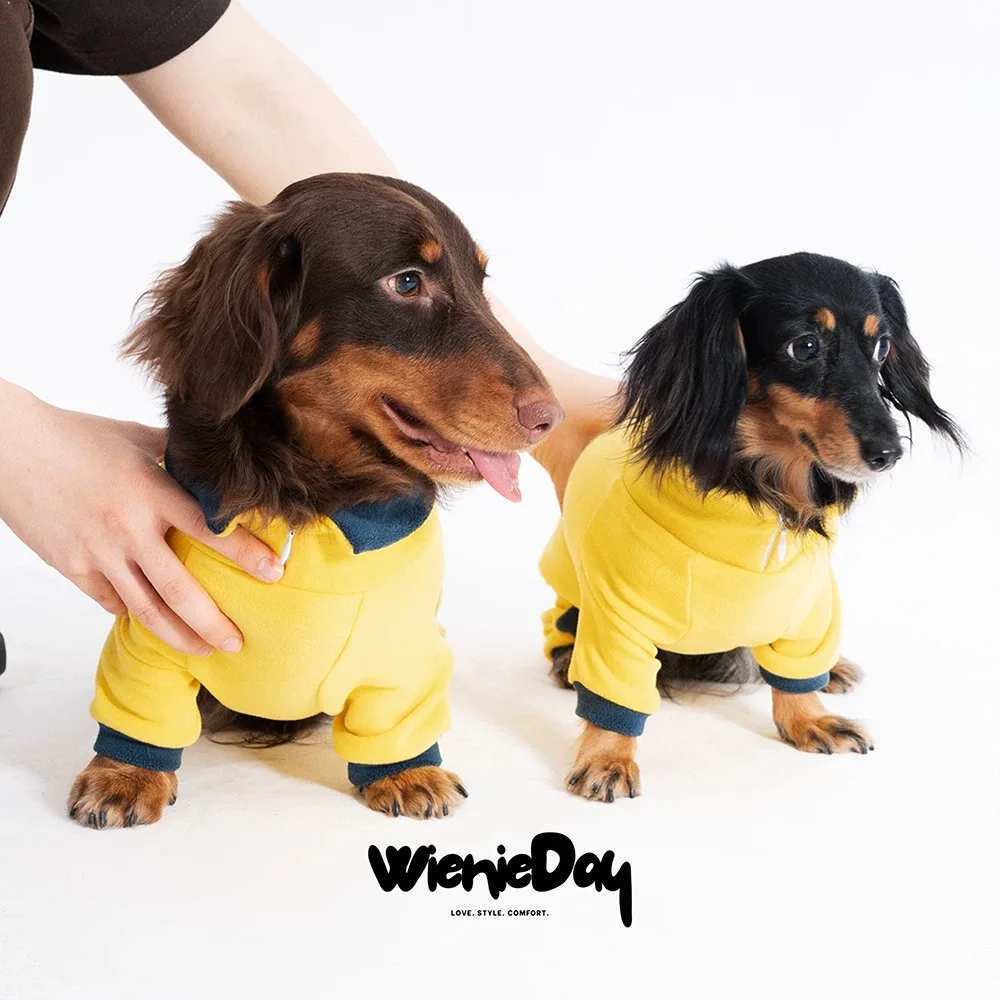 Moda Primavera Invierno Cachemira para perro Wiener camiseta interior amarilla de manga larga para perro Wiener ropa de descanso de otoño para perro tejón - imagen 2