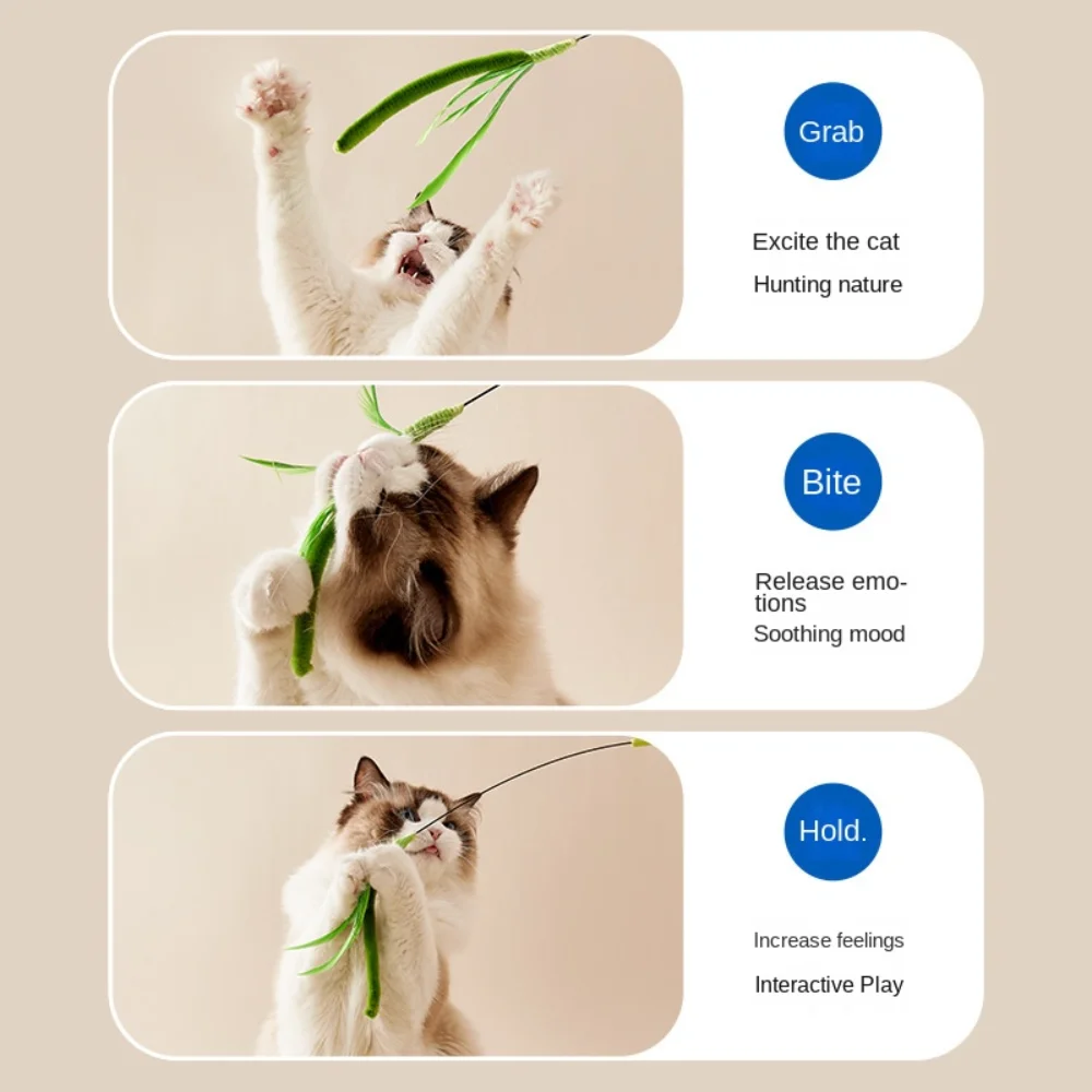 Kimpets-cauda de perro y gato, hierba para perro, pluma de salvia, poste largo, palo de burlas para gato, herramienta autocalentable resistente a mordeduras, juguete para gato, suministros para mascotas - imagen 4