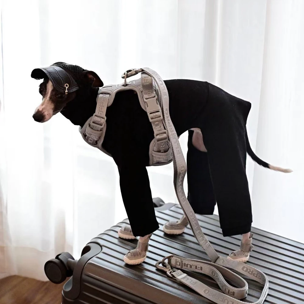 Mono 100% de algodón para galgo italiano, camiseta de Color puro con cuello alto y manga larga de 4 patas para perros Whippet, primavera y otoño - imagen 2