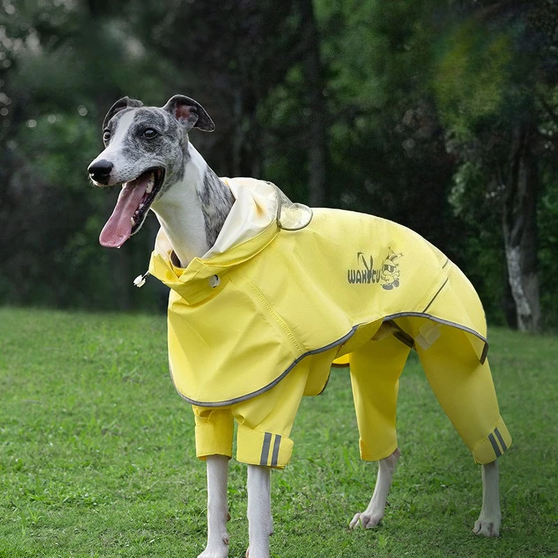 Chaqueta impermeable para perros medianos y grandes - imagen 3