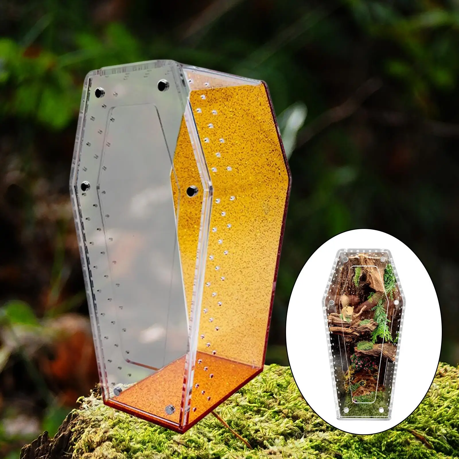 Vivarium con recinto de araña saltadora, terrario acrílico para reptiles, para cría, oración, cangrejo ermitaño en casa, Animal terrestre o arboreal - imagen 4
