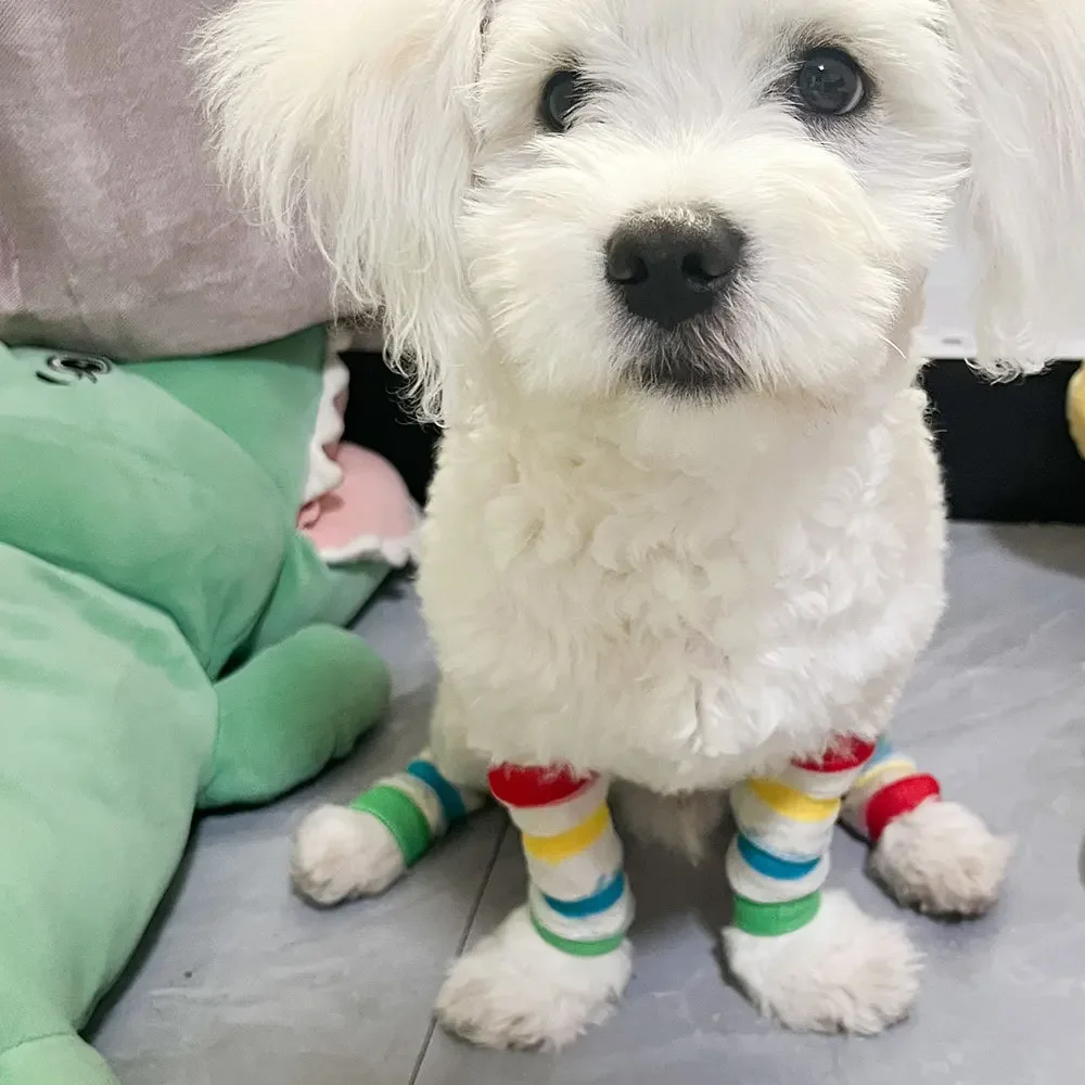 Nuevos calcetines hasta la rodilla y las piernas para mascotas, calcetines coloridos para exteriores para perros pequeños, calcetines con decoración de manos para mascotas de peluche de Pomerania para gatos - imagen 2