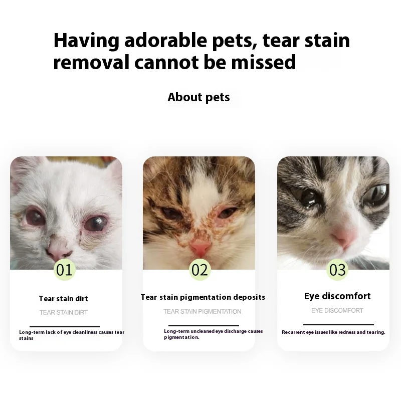 Herramienta de limpieza de ojos con cepillo para manchas de desgarro de mascotas, aplicador de polvo de maquillaje para eliminación de potenciadores de ojos, suministros de aseo para perros y gatos - imagen 4