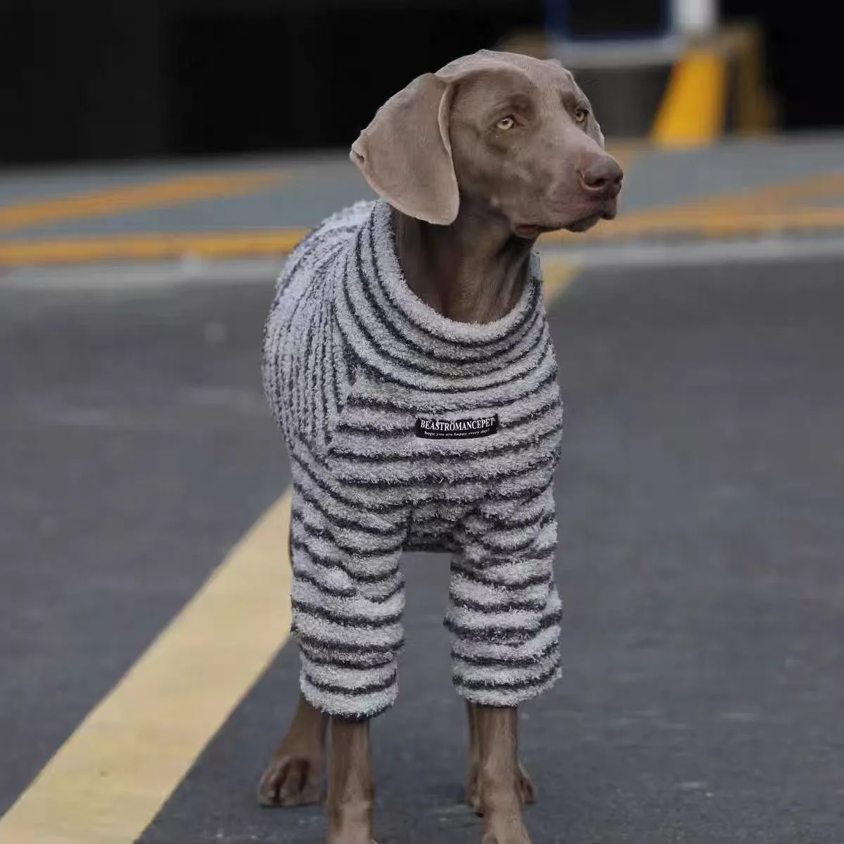 Sudadera cálida de lana para perros grandes y medianos, camiseta con capa Base para Labrador Golden Retriever, ropa de invierno para mascotas - imagen 3