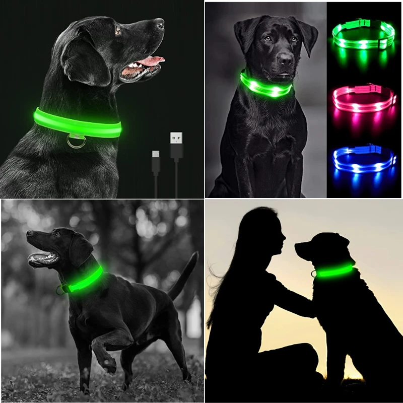 Collar LED USB para Perros con Carga Recargable - imagen 4