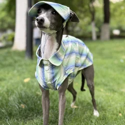 Camisa de rayas azules de protección solar para galgo italiano Abrigo verde sin mangas de fibra de seda de hielo para perros medianos Sombrero de verano para whippet