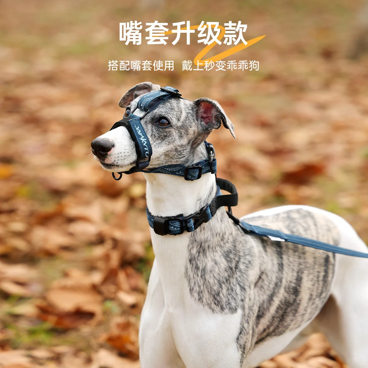 Collar con bozal antimordiscos para perros medianos y grandes - imagen 5