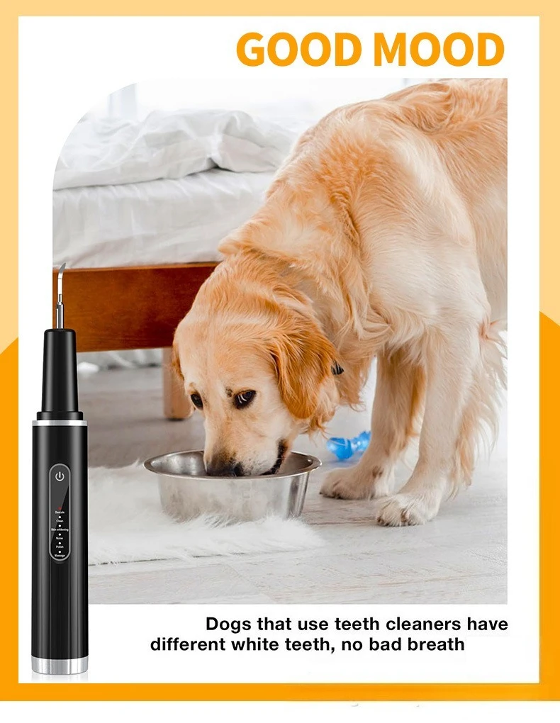 Limpiador dental ultrasónico LZJV para mascotas