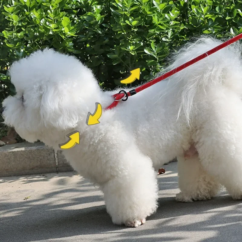 Correa reflectante para perro, correa ajustable de nailon, mango suave, 150cm - imagen 3