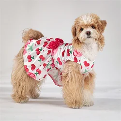 Vestido San Valentín para perros y gatos – Ropa con lazada
