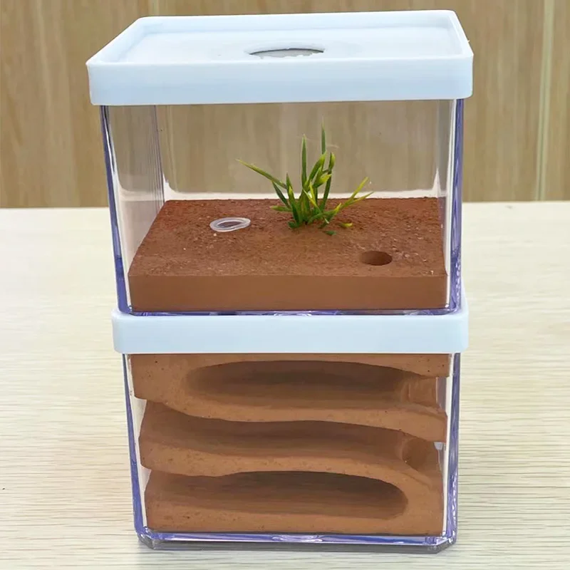 Granja de hormigas de yeso de alta humedad, Castillo de insectos para Hotel, nido de hormigas ecológico, taller de hormiguero para mascotas, casa de hormigas, pueblo con área de alimentación - imagen 5