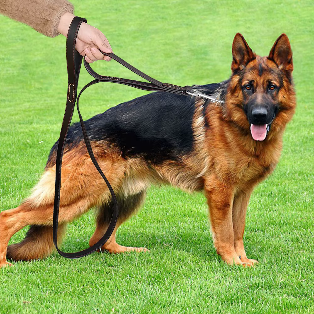 Correa de cuero genuino para perros medianos y grandes con dos asas - imagen 5