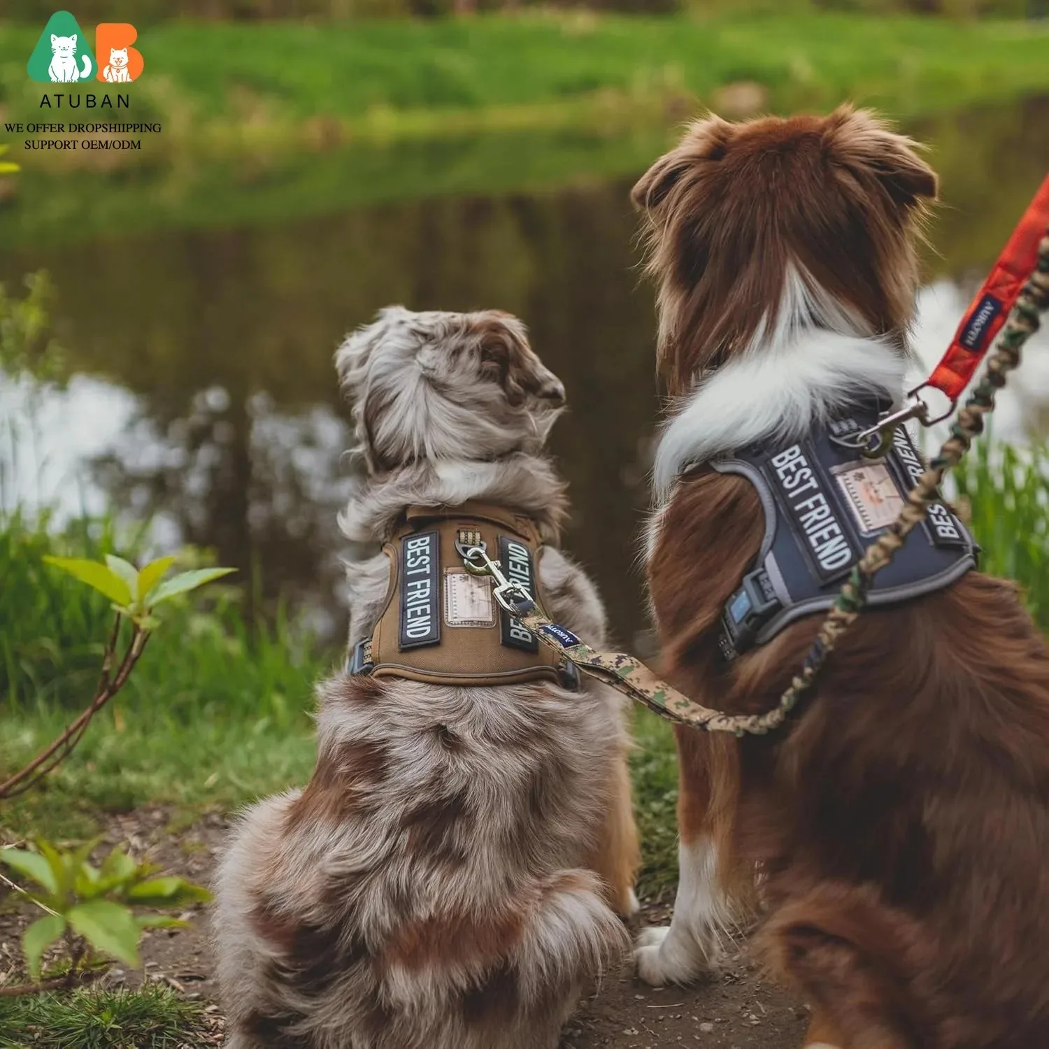 Arnés anti-tirones ajustable y reflectante para perros - imagen 5