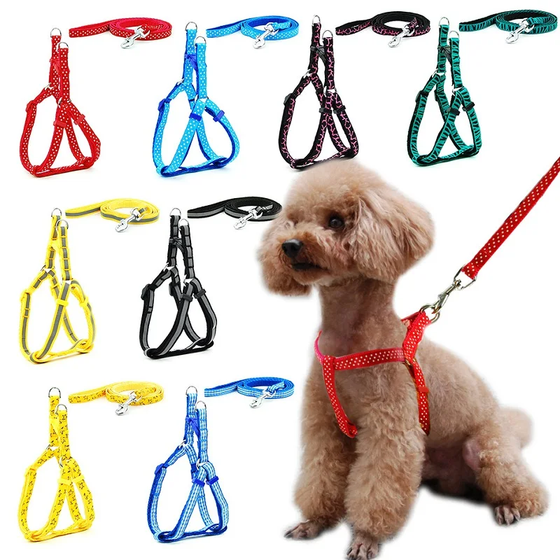 Arnés para perros pequeños y gatos, correa, chaleco ajustable, Collar para cachorros, caminatas al aire libre, Chihuahua Terier Schnauzer