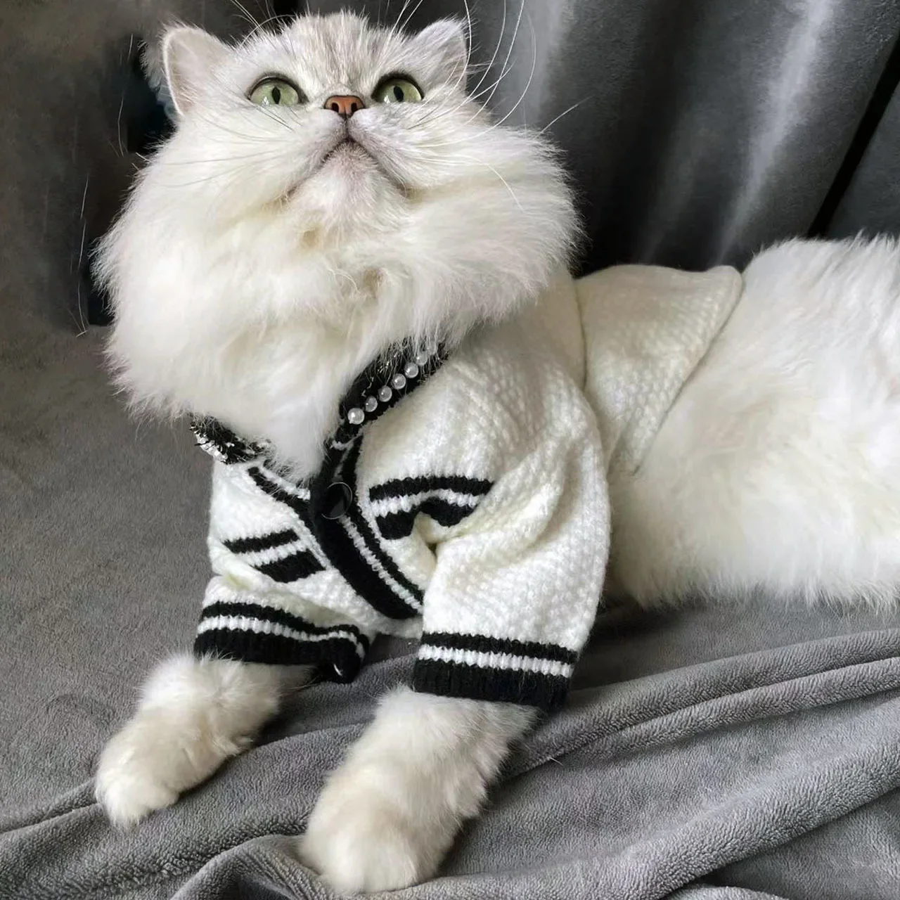 Nuevo suéter para mascotas, perro, Pomerania, gato de peluche con perla, pequeña fragancia, ropa de perlas, ropa para cachorros, productos para mascotas, disfraz para perros - imagen 3